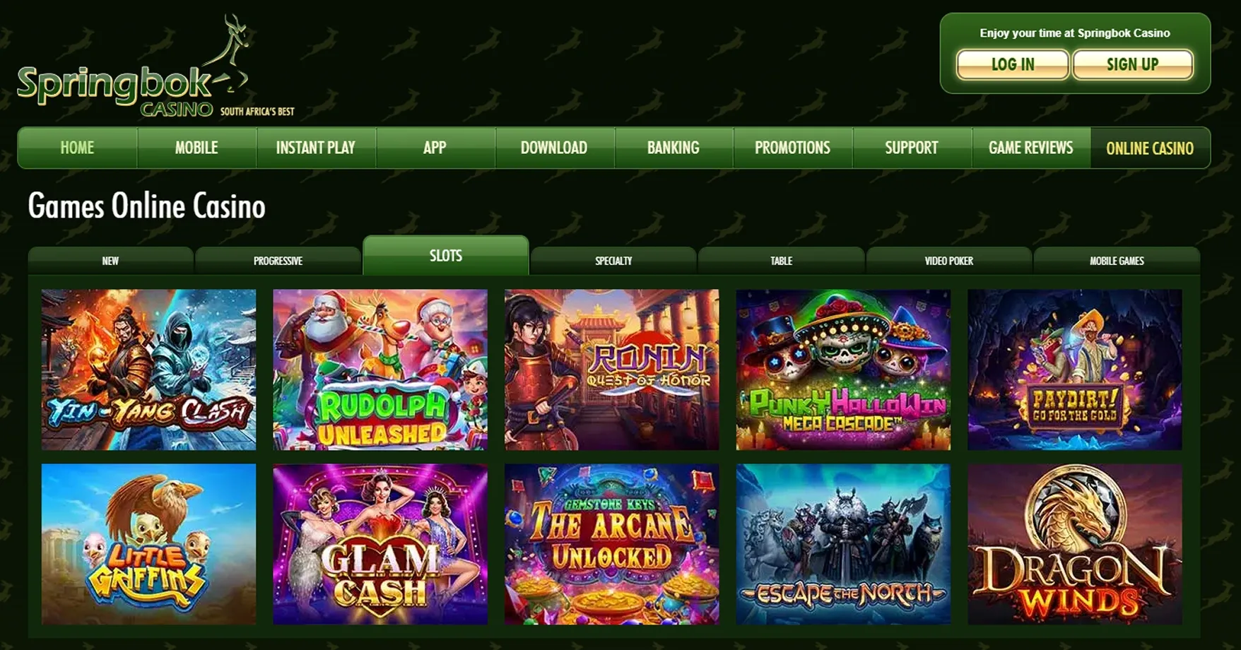 springbok-casino-3.webp